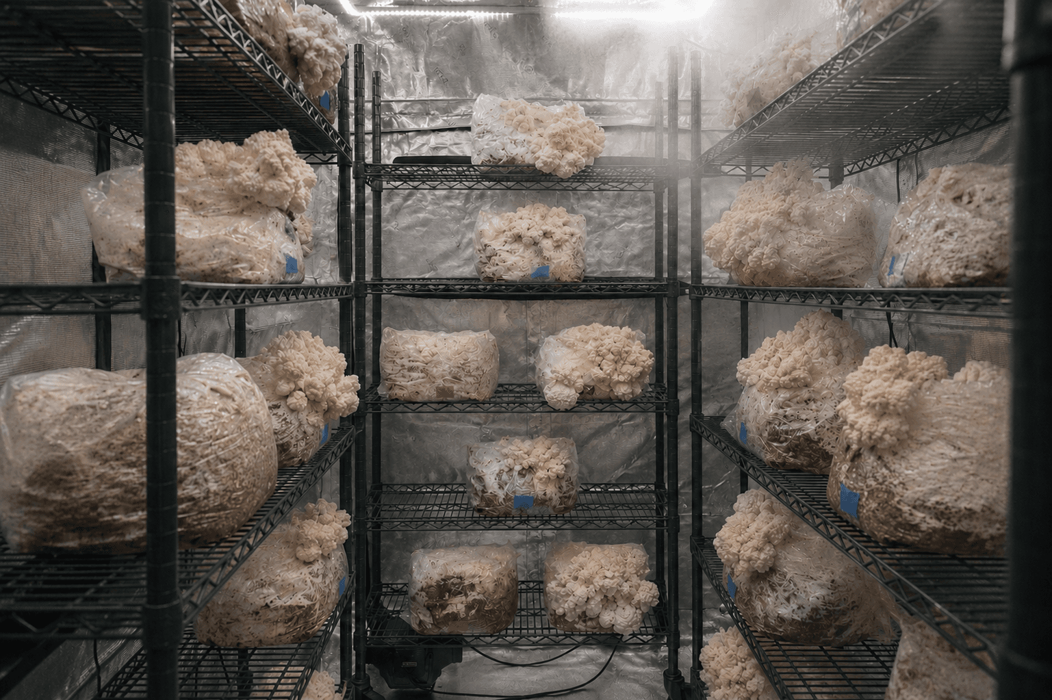 Clean indoor cultivation environment